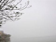 Post cover 1062660