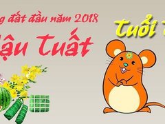 Post cover 1062796
