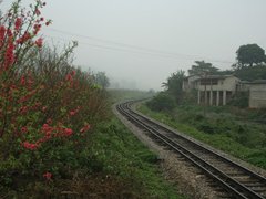 Post cover 1062896