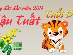 Post cover 1062975