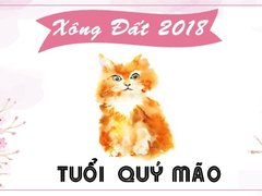Post cover 1063006