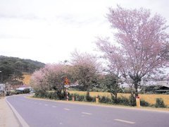 Post cover 1063523