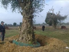 Post cover 1063526