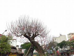Post cover 1063977