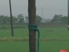 Post cover 1064817