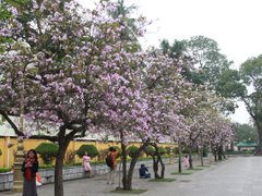 Post cover 1065121