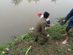 Post cover 1065319