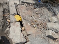 Post cover 1066111