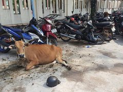 Post cover 1067723