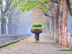 Post cover 1067792