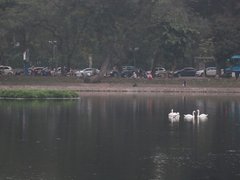 Post cover 1068422