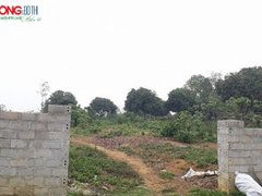 Post cover 1068732