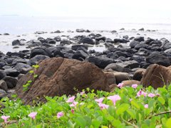 Post cover 1068760
