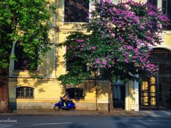 Post cover 1069858