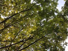 Post cover 1070669