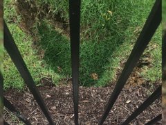 Post cover 1070682