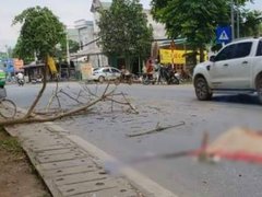 Post cover 1073063
