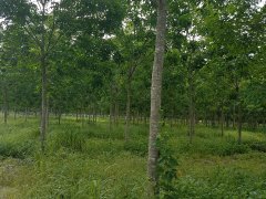 Post cover 1073076