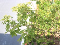 Post cover 1073266
