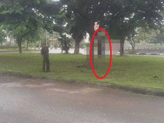 Post cover 1073849