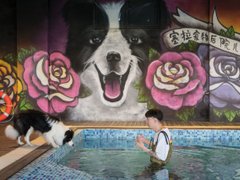Post cover 1074578