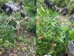 Post cover 1075284