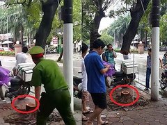 Post cover 1075832
