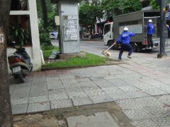 Post cover 1076275