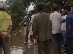 Post cover 1076422