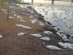 Post cover 1076635