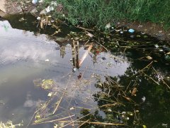 Post cover 1077546