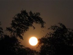 Post cover 1078042