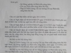 Post cover 1078124