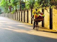 Post cover 1079166