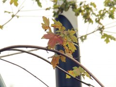 Post cover 1079420