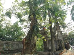 Post cover 1079791