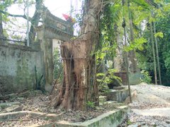 Post cover 1079593
