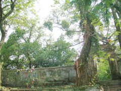 Post cover 1079582