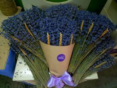 Post cover 1079625