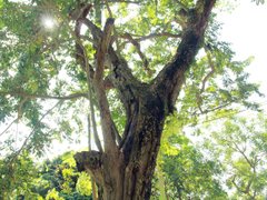 Post cover 1081054
