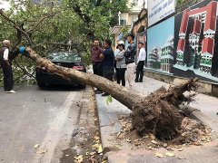 Post cover 1081721