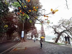 Post cover 1081818
