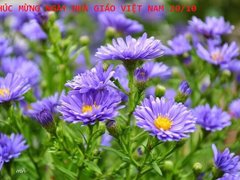 Post cover 1082347