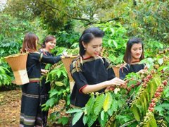 Post cover 1082543
