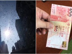 Post cover 1084462