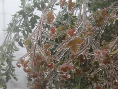 Post cover 1085439