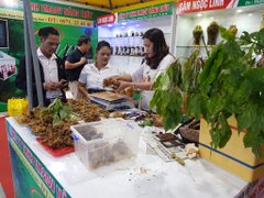 Đọc nhanh bài viết 1085822