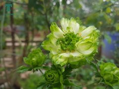 Post cover 1086055