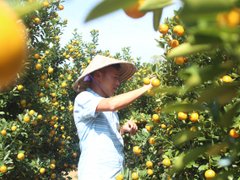 Đọc nhanh bài viết 1086057
