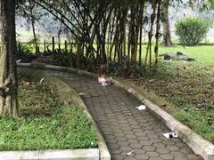 Post cover 1086284